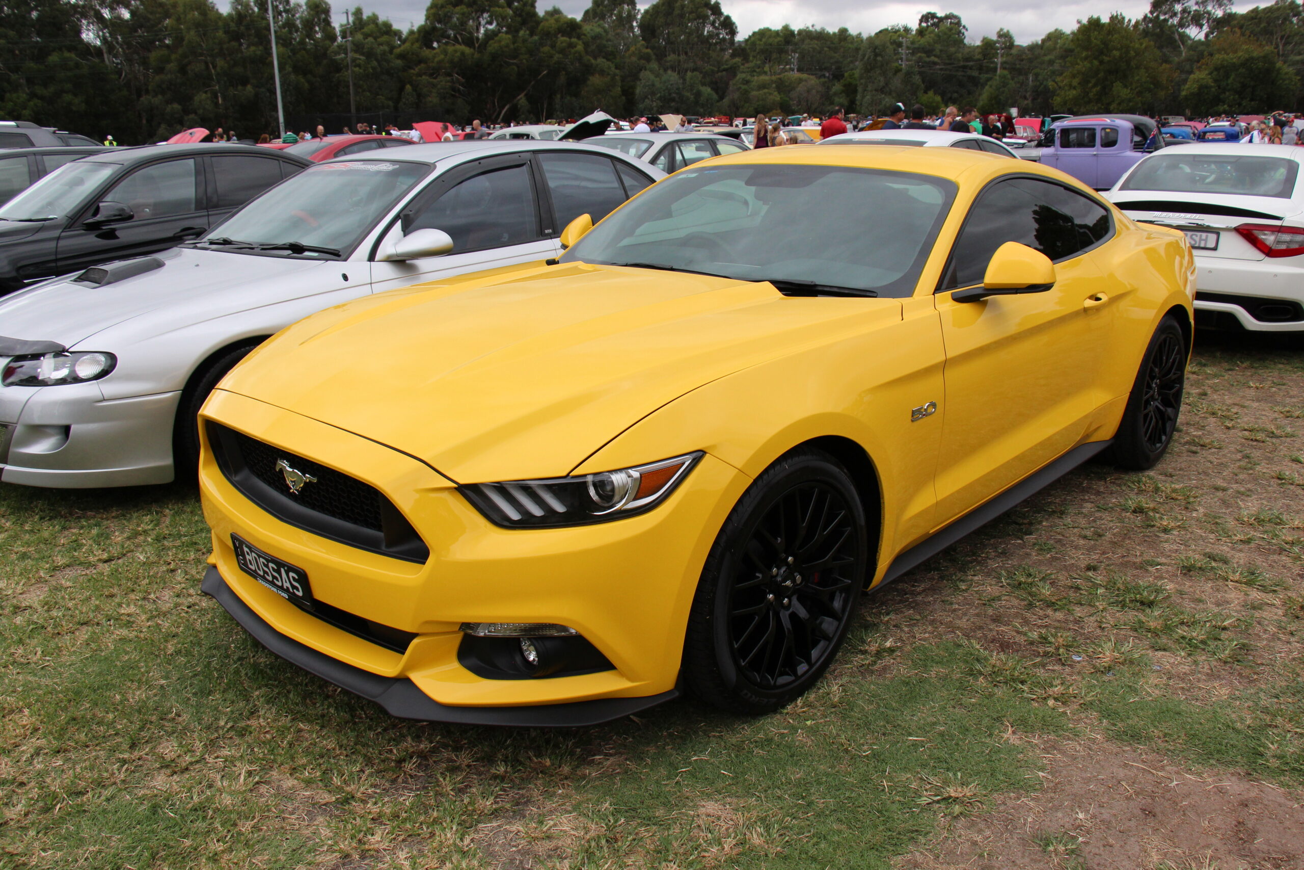 2020 Ford Mustang GT Premium Manual